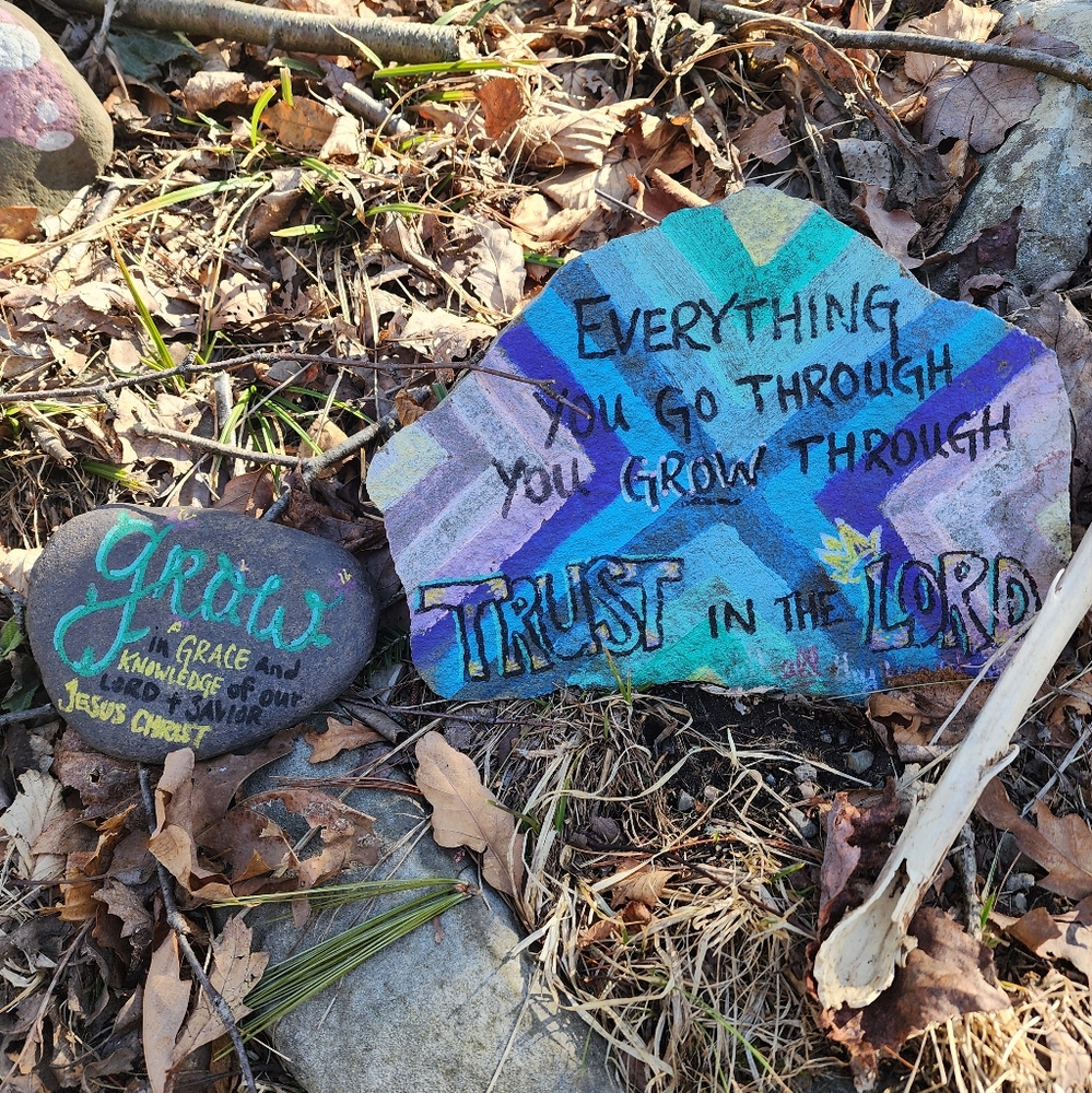 Colorful Painted Rocks with Inspirational Words - Picture 3 of 9